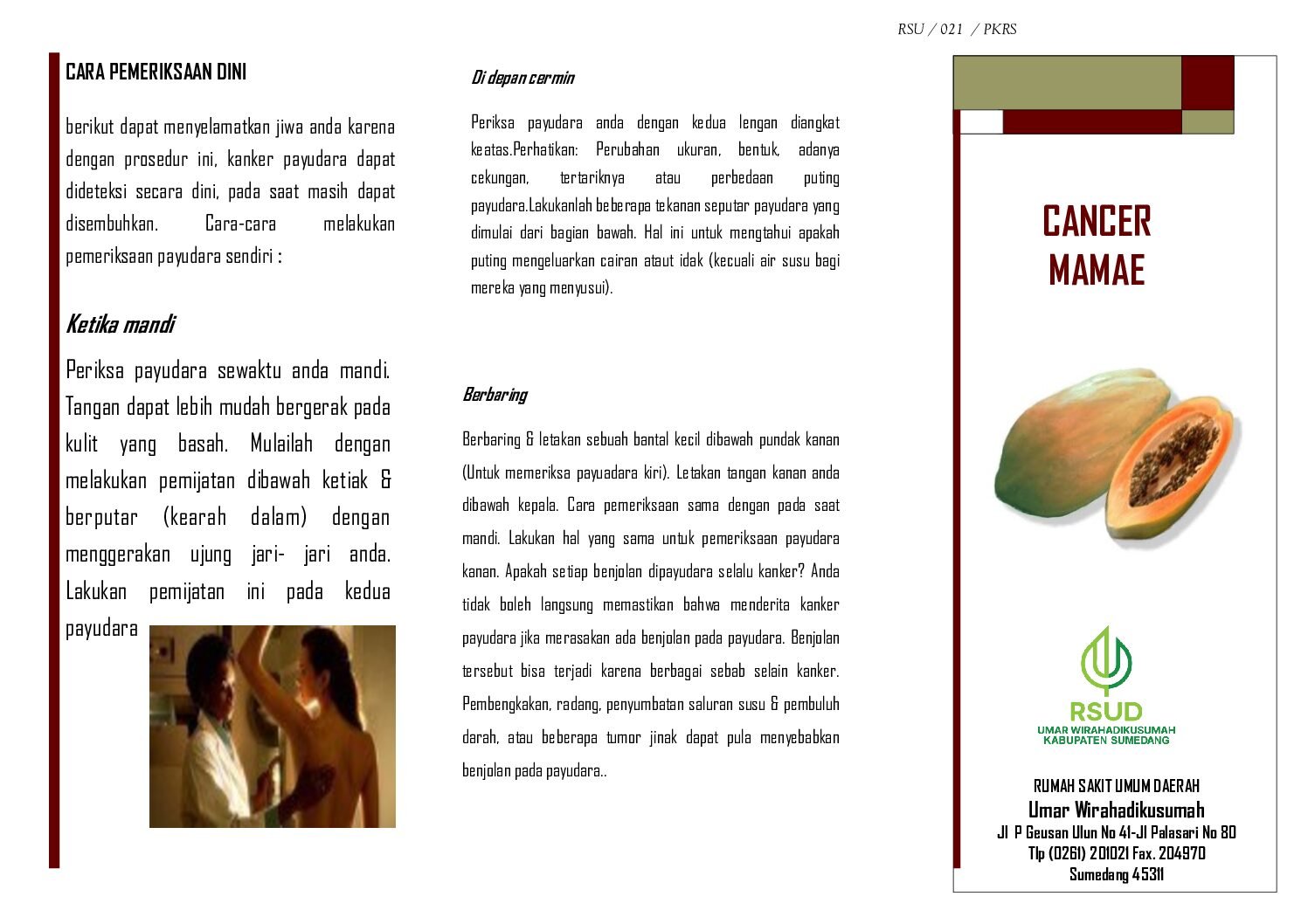 Cancer Mamae