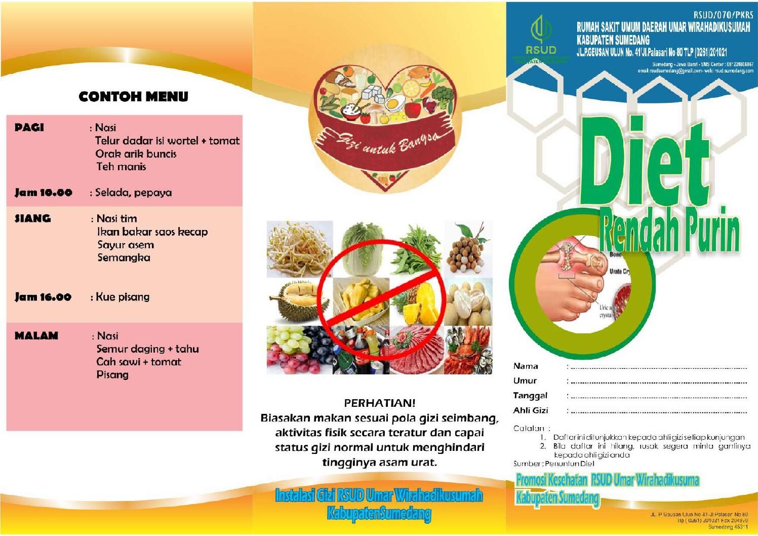 Diet Rendah Purin