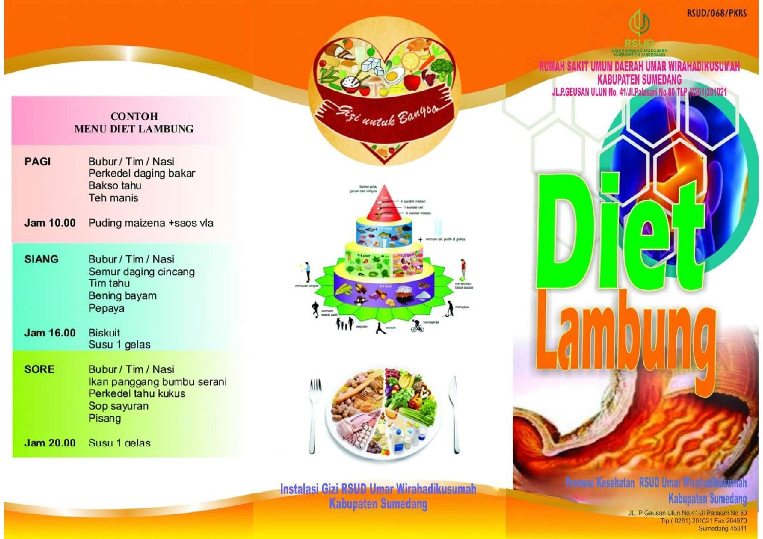 Diet Lambung